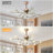 Sairy 42'' Ceiling Fan with 12-light Sputnik Chandelier 6 Speeds and Reverse