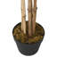 Faux Bamboo Tree in Pot-440907601