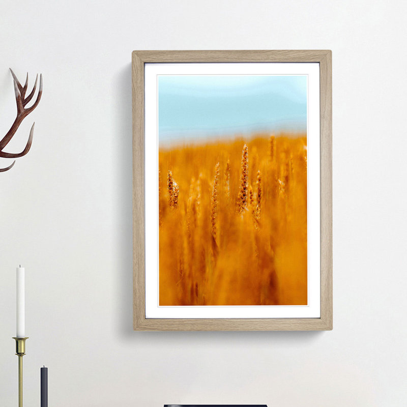 Wheatfield in Germany - Picture Frame Painting Print, 63cm H x 45cm W x 2cm D, Oak Framed