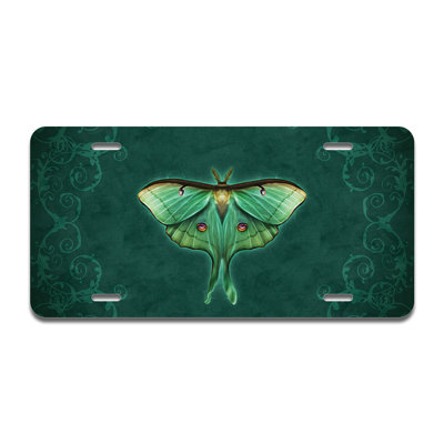 Cadre en aluminium Luna Moth