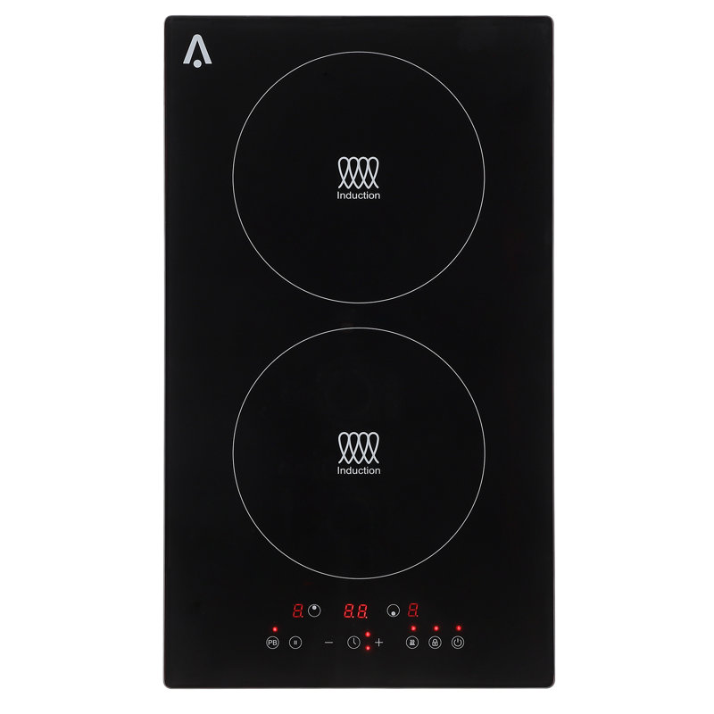 Plaque de cuisson électrique à 2 brûleurs, 11,6 po 1800 W, 120 V