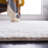 Maxfield Ivory/Beige Area Rug-1533511915