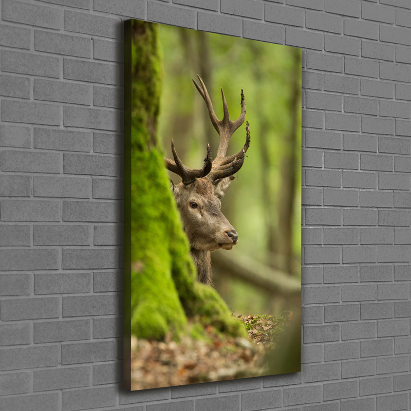 Deer - Wrapped Canvas Print