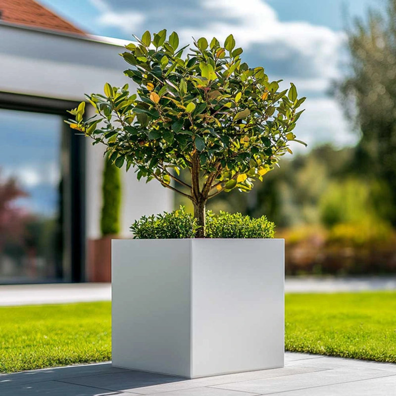 Babrow Metal Planter Box, 60cm H x 60cm W x 60cm D, White