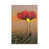 Wrapped Canvas selected