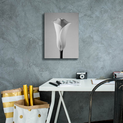 «Calla No. 1» par PhotoINC Studio