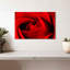 Harnek, gros plan d'une rose rouge-108730489