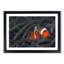 Peeping Clownfish - Picture Frame Painting Print-55583050-55583052