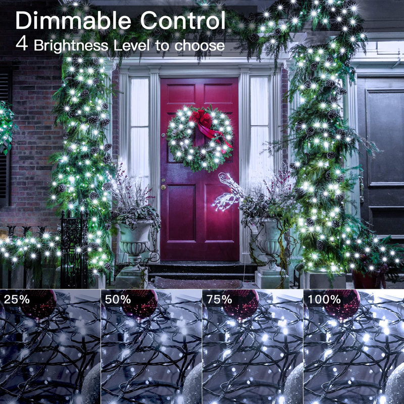 Annalyah 8000cm LED Indoor / Outdoor String Lights