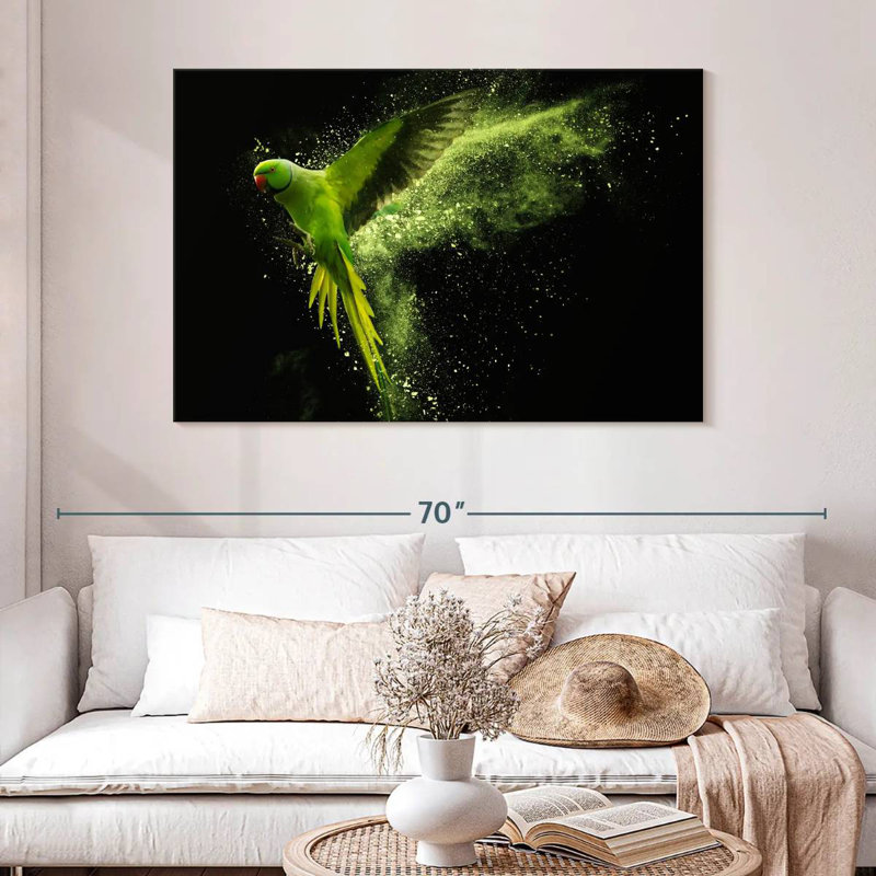Brampt Alexandrine Parakeet, 32" H x 48" W