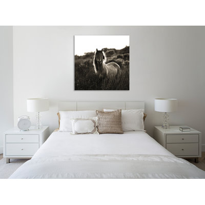 «Evening Glow Crop», toile tendue par Aledanda
