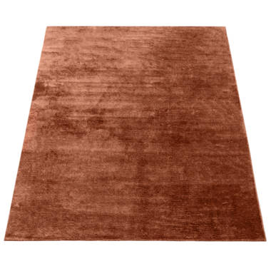 Javen Brown Machine Washable Non-Skid Rug Latitude Run Rug Size: Rectangle 8'10 x 12'2