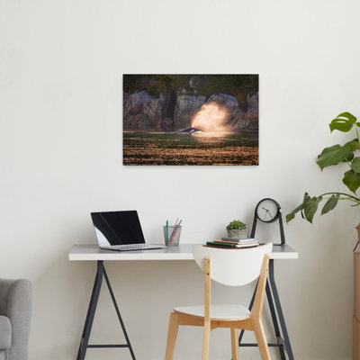Orque au coucher du soleil, baleine contemporaine, faune, reproduction d'art murale