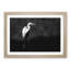 Stork Bird - Picture Frame Graphic Art Print-56706114-56706117