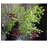 Lifelike Layered Leaf Spray 41" Tall-1439571150