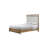 Aurora Panel Bed, Latte-1156275744