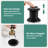 Pop-Up Bathroom Sink Drain With Overflow-75260364