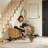 Velvet Upholstered Storage Bench Entryway Bench with Large Storage-575796066