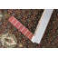 Oriental Area Rug in Red