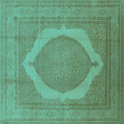 Oriental Indoor Rug