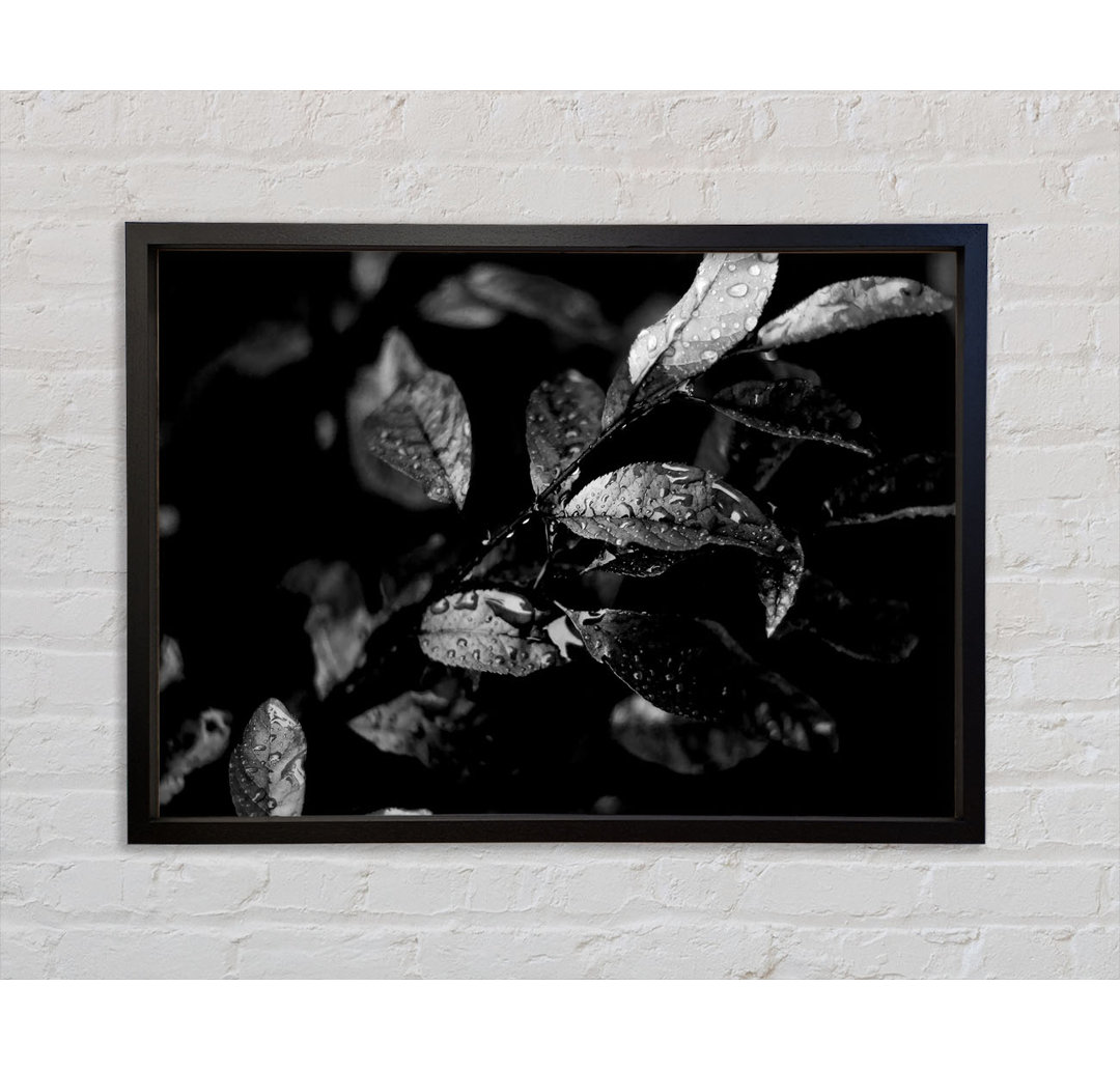 Winter Leaves B N W - Einzelbildrahmen Kunstdrucke auf Leinwand