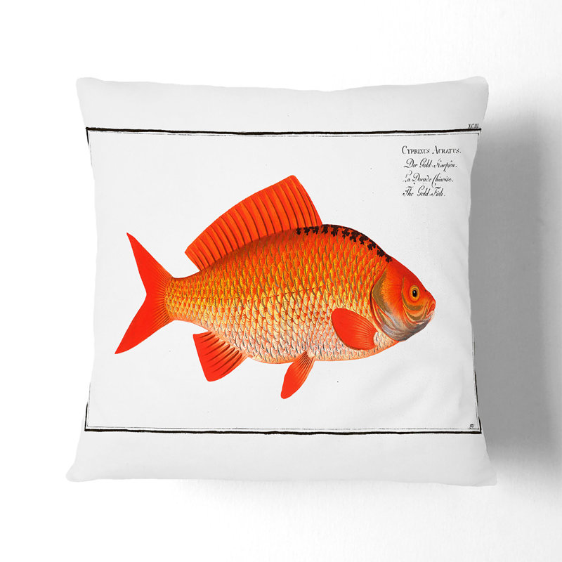 Square Throw Cushion, Stone, 55cm H x 55cm W x 20cm D