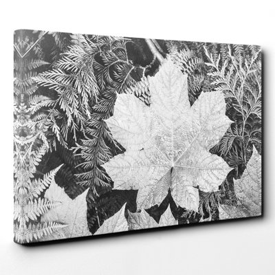Ansel Adams - Wrapped Canvas Print