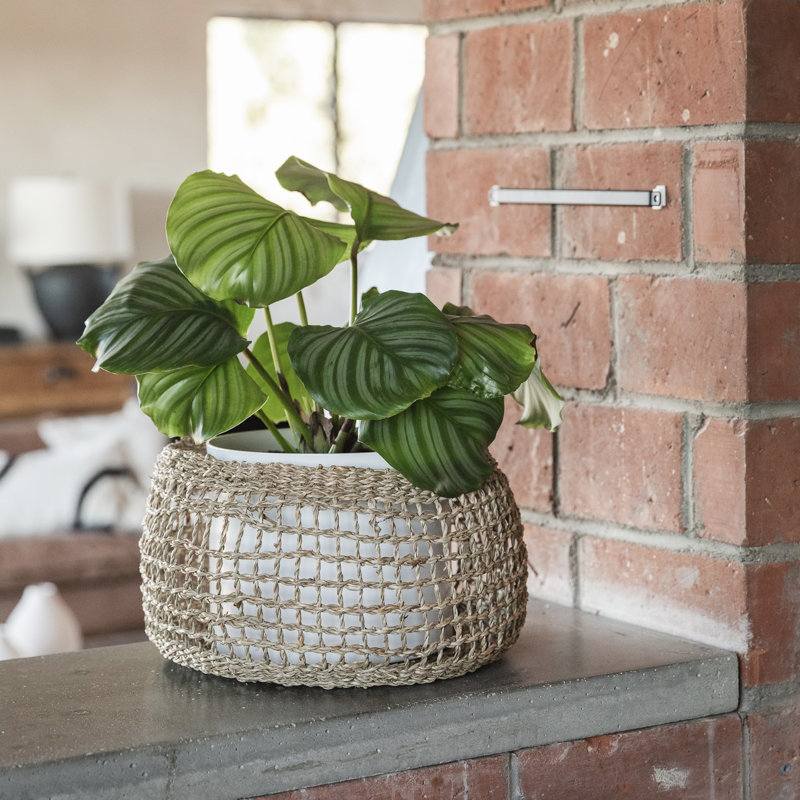 Panier rond en ruppie maritime Siwa - grand, 41.88, H 9,5 po x l 18 po x P 18 po