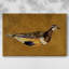 «Feathered Friend II», toile tendue avec châssis-1546497437