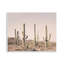 «Blush Cactus Field» par Sissi et Seb