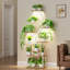 Support pour plante Irvina-87155923