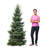 Fir Tree