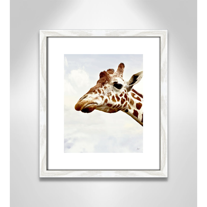 Grumpy par Nan - reproduction de photo sur papier encadrée, H 15 po x l 13 po x P 0,88 po, Cadre blanc