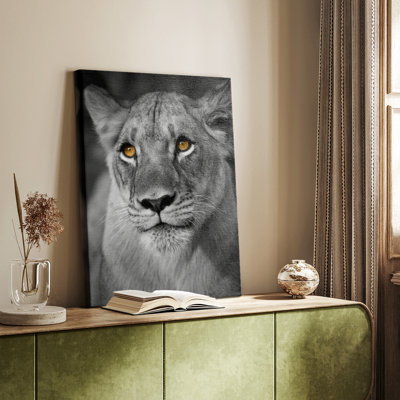 Lioness Portrait -Gallery Wrapped Cavas