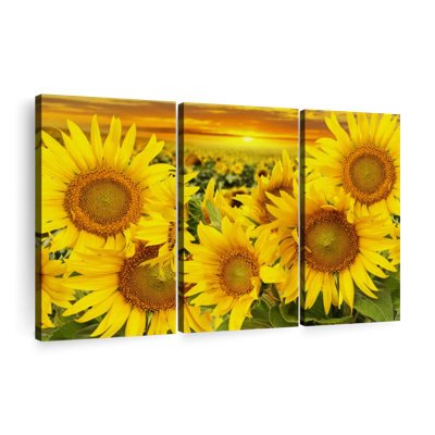 «Sunflower Sunset Horizon», 3 pièces
