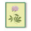 Pivoines en jaune I, reproduction encadrée - bois massif-217736775-217736780