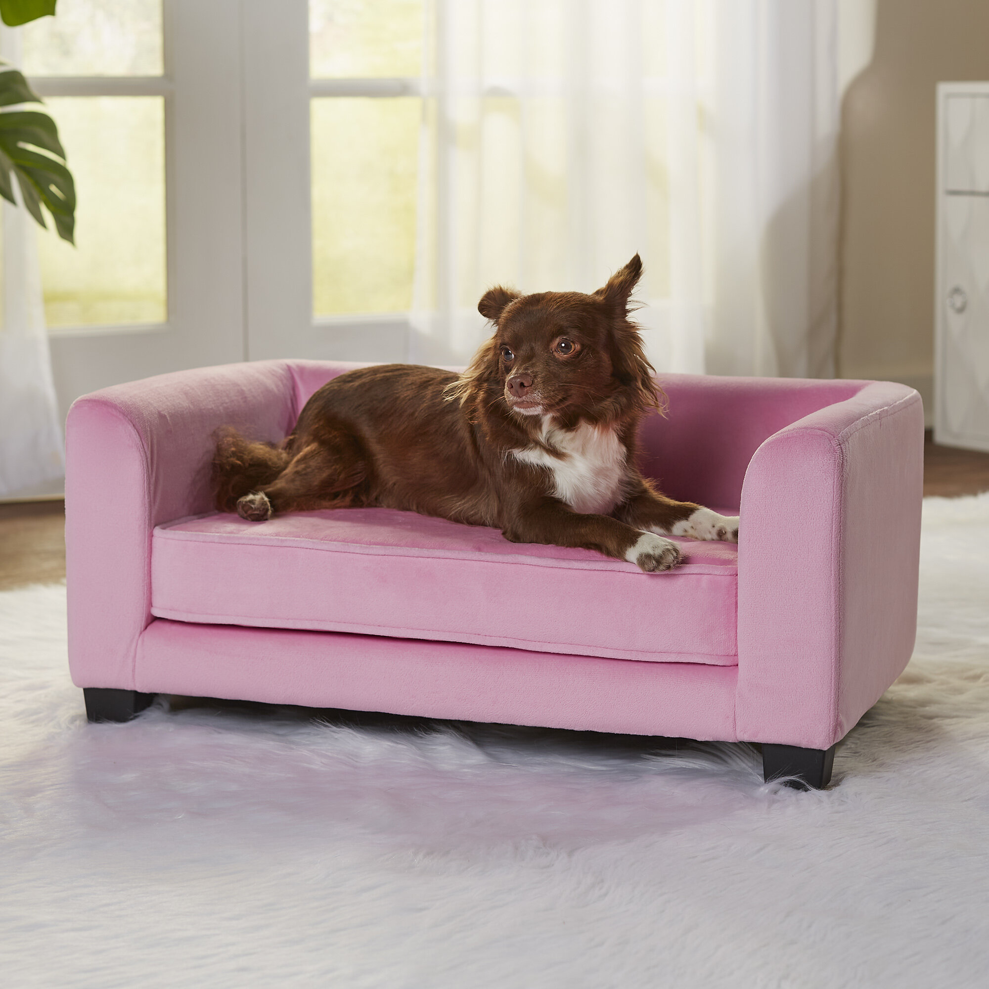 Lawlor Dog Sofa Archie & Oscar Color: Pink