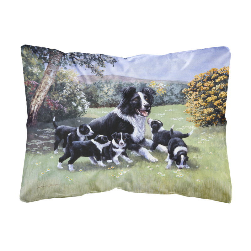  Coussin intérieur / extérieur Border Collie Puppies with Momma