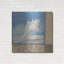  «Ocean Beauties 1» par Art Licensing Studio, art mural en métal, 36 po x 36 po-2074369554