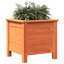 Raised Garden Bed