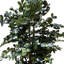 Fire Retardant Artificial Tree 180cm Faux Palm Tree in Pot Liner