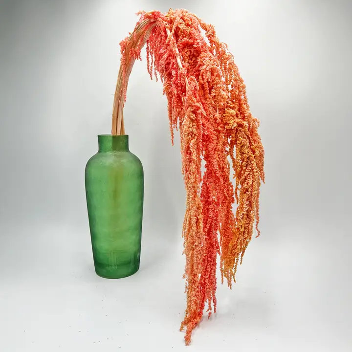 Modern Art Preserved Amaranth Stems, Pink