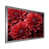 Silver Single Picture Framed