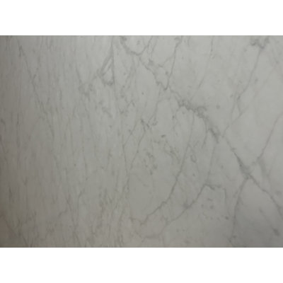 Carrara 24" x 48" Porcelain Stone Look Wall & Floor Tile