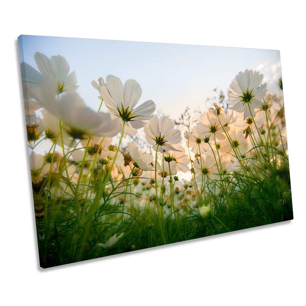 Cosmos Floral Flowers CANVAS WALL ART Framed Print