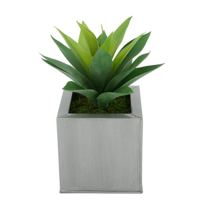 Plante grasse artificielle 7 po en pot