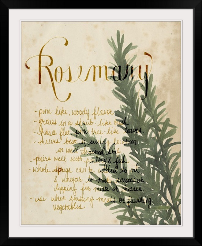 «Herb Study IV», reproduction de peinture de Grace Popp, H 38 po x l 32 po x P 1 po, Cadre noir