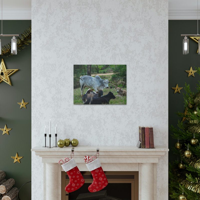 No Frame Print on Canvas, 27.94cm H x 35.56cm W