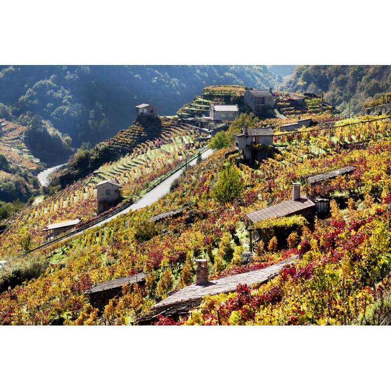 Ribeira Sacra Vineyards - Wrapped Canvas Print, 51cm H x 76cm W x 3.8cm D