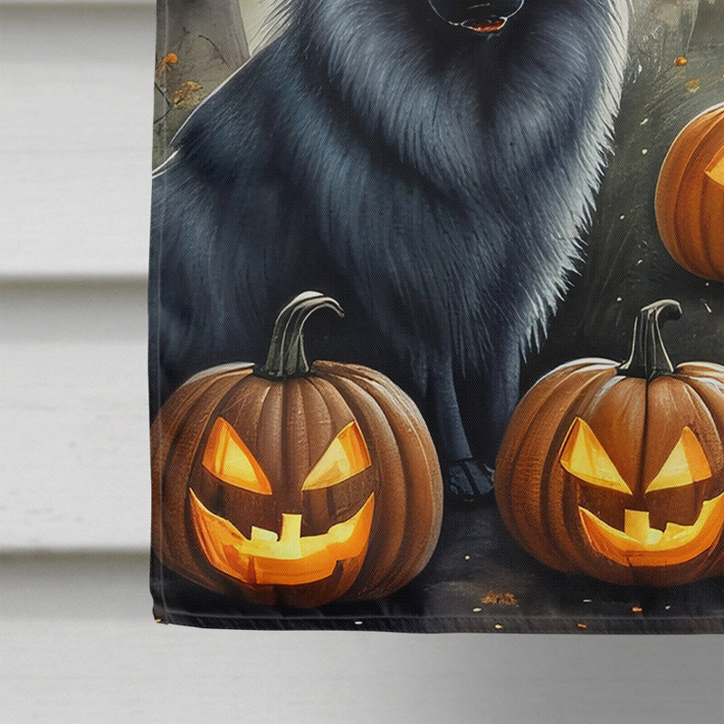 Double Sided 40'' H x 28'' W Polyester Halloween House Flag
